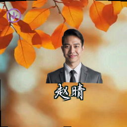 赵晴